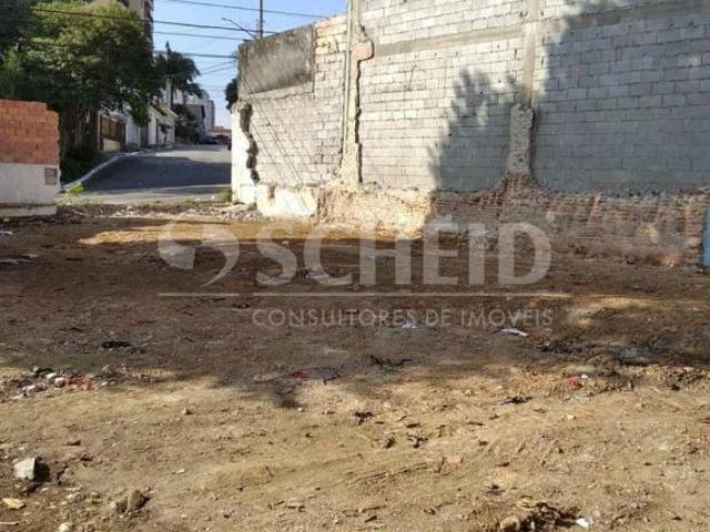 Terreno com trezentos metros quadrado na rua Antonio Gil