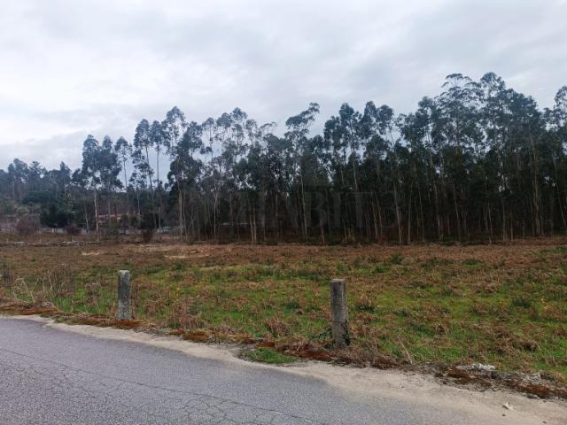 Terreno com uma área total de 10.796 m2