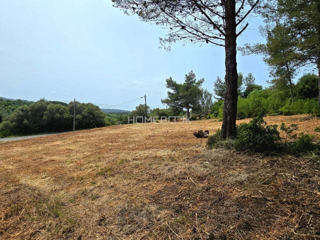 Terreno com uma área total de 29.520m2