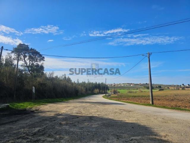 Terreno com uma área generosa de 13.840m2 com plantação de eucaliptos, localizado entre Bombarral e Reguengo Grande