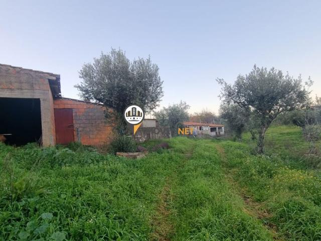 Terreno com vários anexos, Venda, Taberna Seca, Castelo Branco