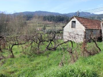 Terreno com Vinha em Marco de Canaveses