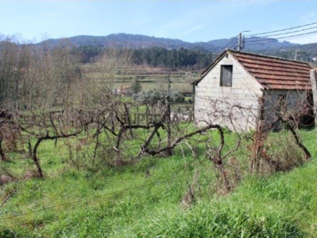 Terreno com Vinha em Marco de Canaveses