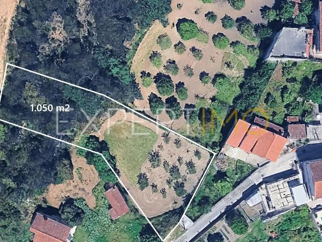 Terreno com Viabilidade Construção 1.050 m2 Fala São Martinho do Bispo Coimbra