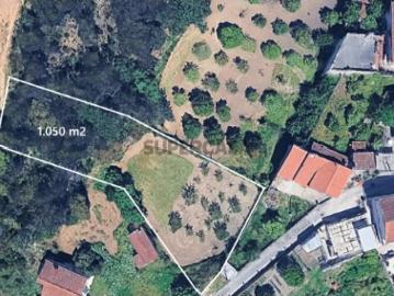 Terreno com Viabilidade Construção 1.050 m2 Fala São Martinho do Bispo Coimbra