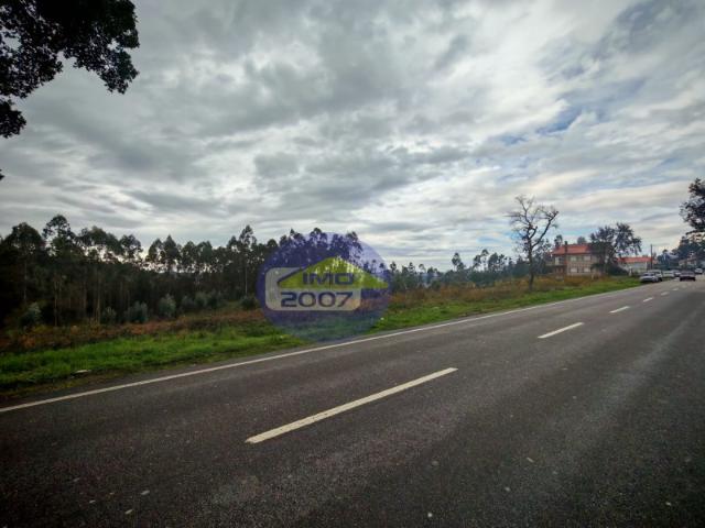 Terreno com viabilidade construção em altura