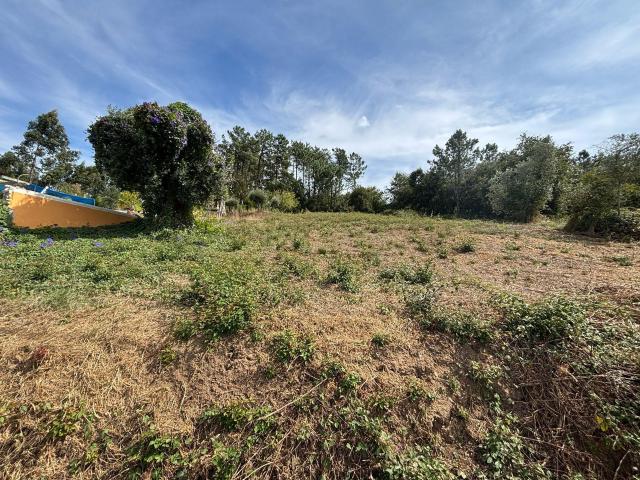 Terreno com viabilidade construtiva e com vistas deslumbrantes Roubã, São Simão de Litém, Pombal