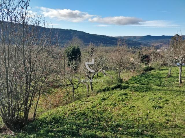 Terreno com viabilidade Construtiva saneamento, luz, água e fibra ótica Coura S.Martinho P.Coura