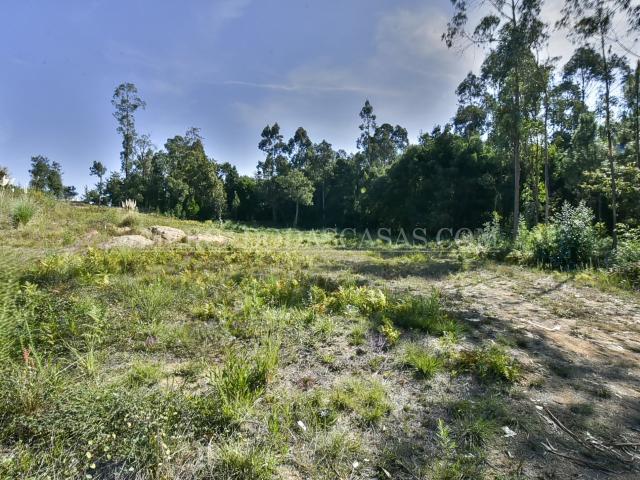 Terreno com viabilidade construtiva, Souto