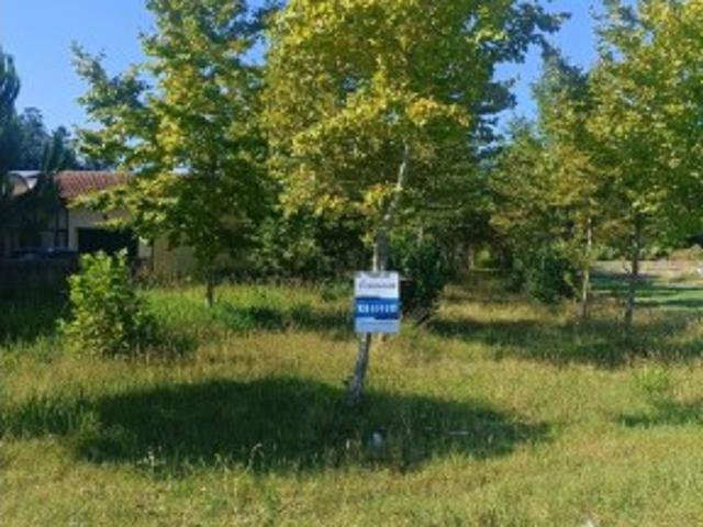 Terreno com viabilidade de construção