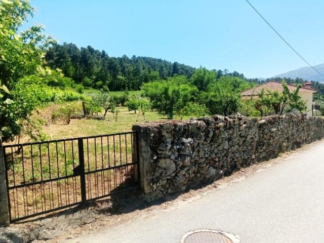 Terreno com viabilidade de construção em Ucanha, Tarouca