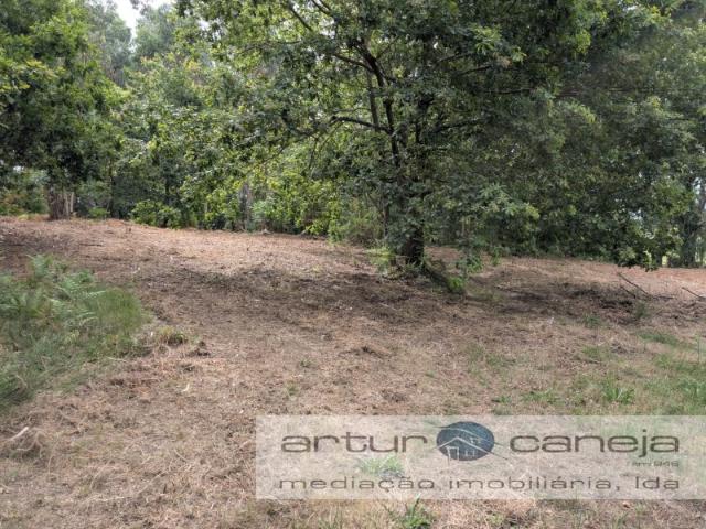 Terreno com viabilidade de construção