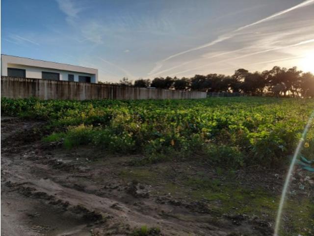 Terreno com viabilidade de construção