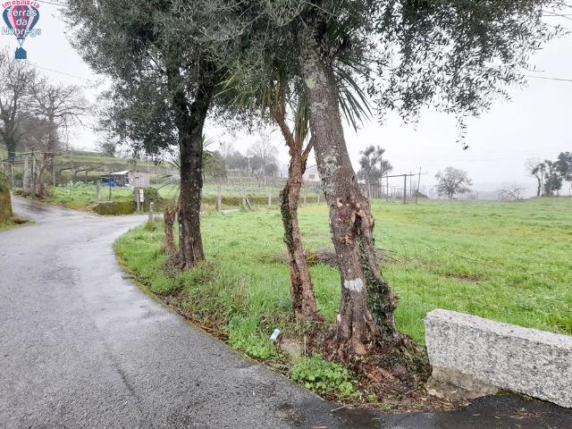 Terreno Com viabilidade de construção