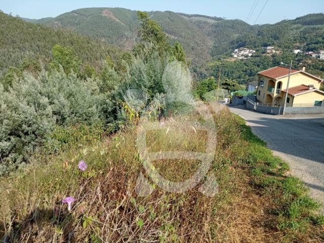 Terreno com viabilidade de Construção
