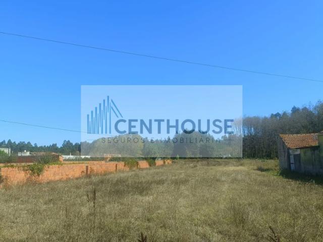 Terreno com viabilidade de construção