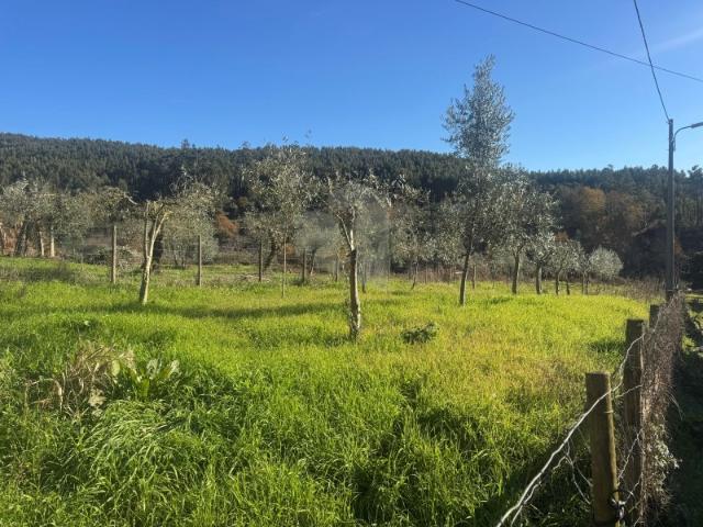 Terreno com viabilidade de construção 600 m2 em zona calma com belas vistas!