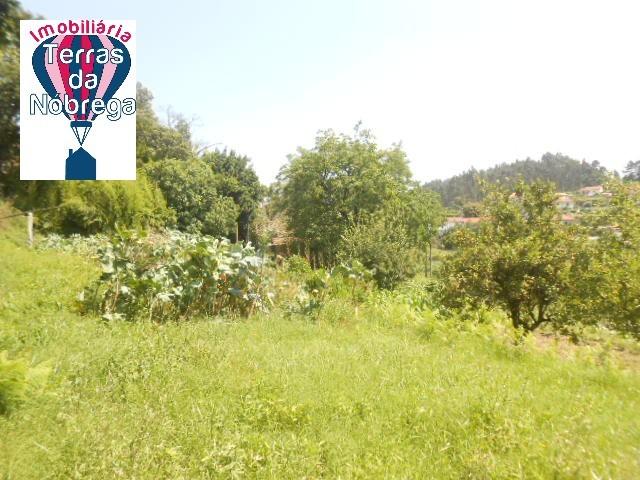 Terreno com viabilidade de construção