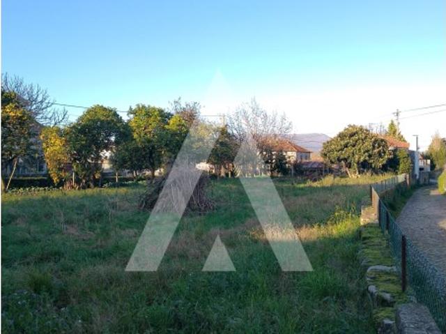 Terreno com viabilidade de construção