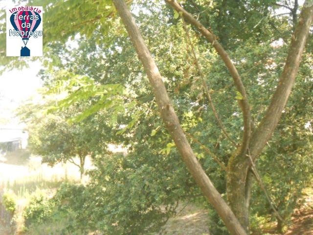 Terreno com viabilidade de construção