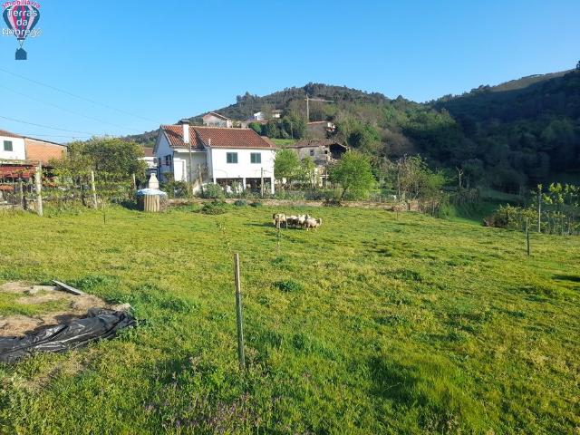 Terreno com viabilidade de Construção