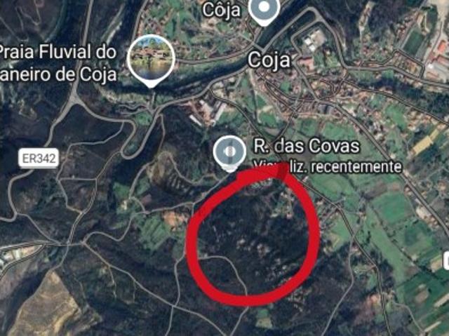 Terreno com viabilidade de construção Coja Arganil