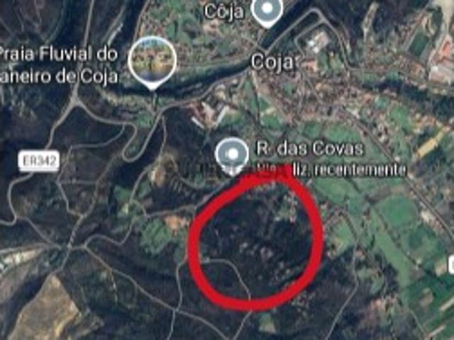 Terreno com viabilidade de construção Coja Arganil