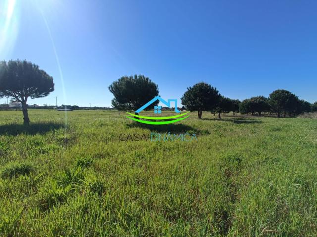 Terreno com Viabilidade de Construção a 10 Minutos da Praia – Arazede, Coimbra