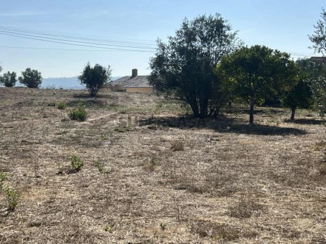 Terreno Rustico |com viabilidade de Construção| Asseiceira
