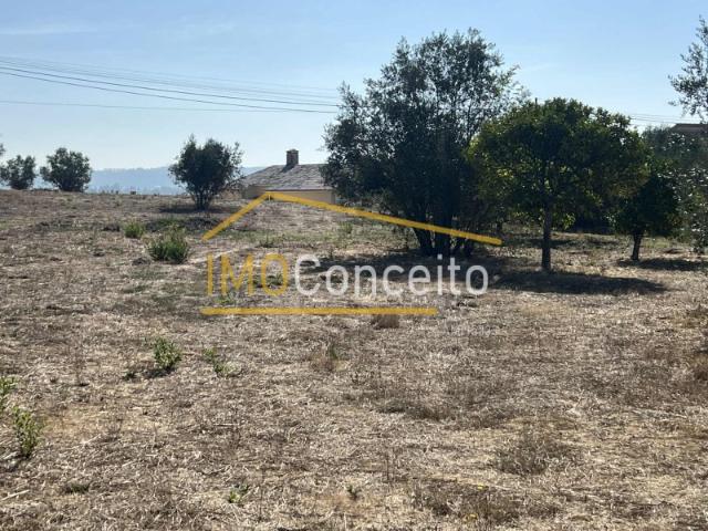 Terreno Rustico |com viabilidade de Construção| Asseiceira