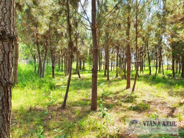 Terreno com viabilidade de construção, Breia, Cardielos, V C