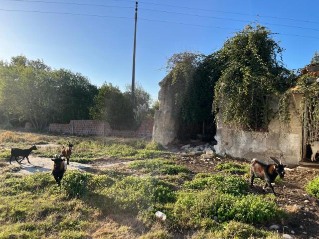 Terreno com viabilidade de construção de moradia na zona da Vista Alegre