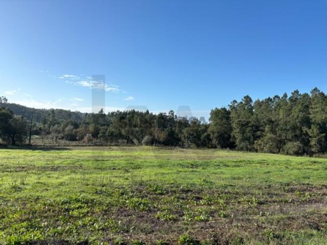 Terreno com viabilidade de construção e vista desafogada em Tomar