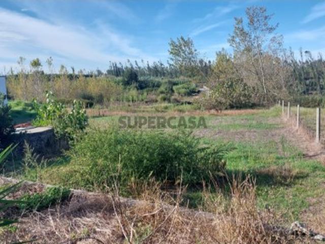 Terreno com viabilidade de construção em Carvide