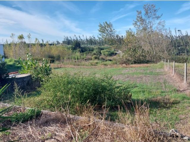 Terreno com viabilidade de construção em Carvide