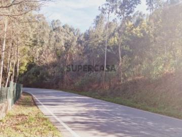 Terreno com viabilidade de construção em Cedrim Tanque