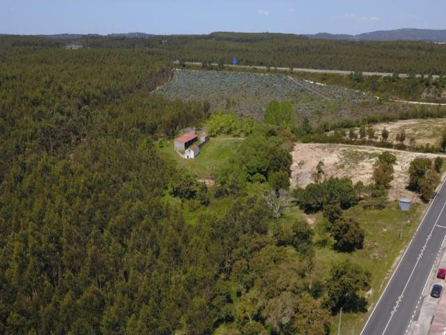 Terreno com Viabilidade de Construção em Asseiceira Rio Maior*RIOMAGIC