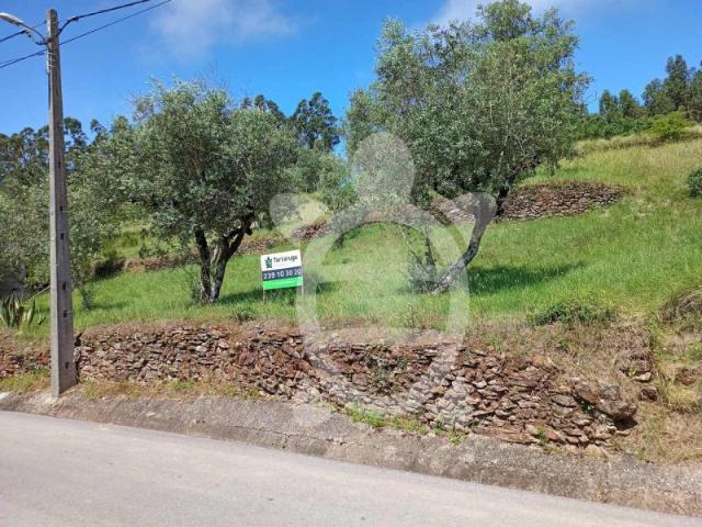 Terreno com viabilidade de construção em Penela