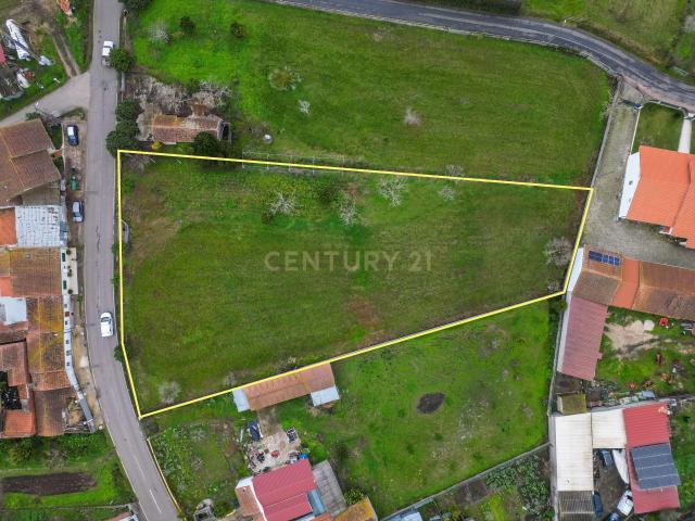 Terreno com Viabilidade de Construção em Pereira Montemor o Velho