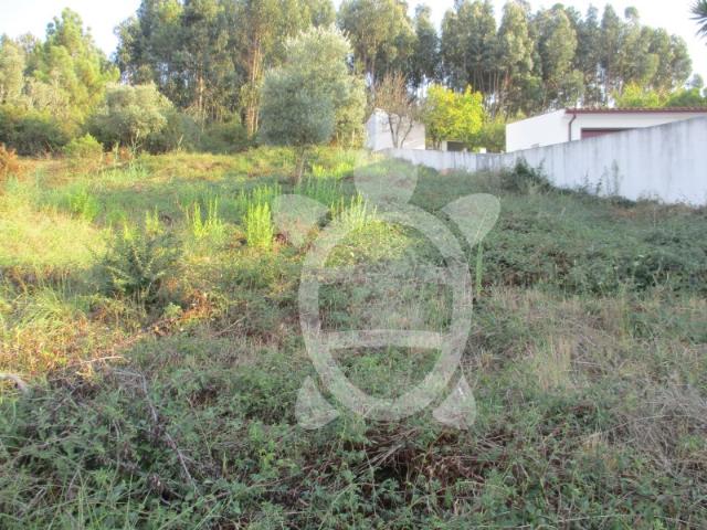 Terreno com viabilidade de construção em Torre de Vilela
