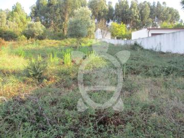 Terreno com viabilidade de construção em Torre de Vilela