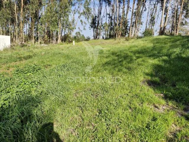 Terreno com Viabilidade de Construção – Entre a Cidade e o Mar