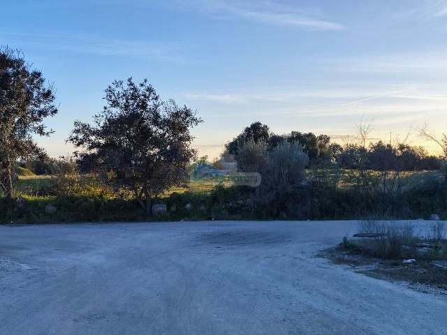 Terreno com viabilidade de construção junto à zona industrial