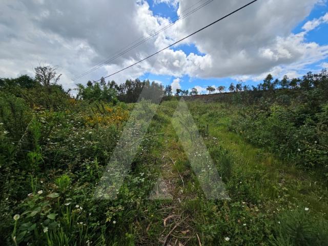 Terreno com viabilidade de construção localizado em Águeda!