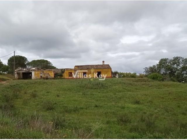 Terreno com viabilidade de construção para Parque Temático 300m² São bartolomeu de messines