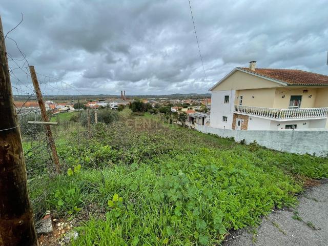 Terreno com viabilidade de construção | TAVEIRO