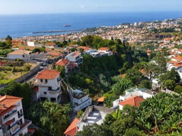 Terreno com Vista a Bahia do Funchal