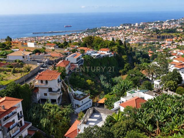 Terreno com Vista a Bahia do Funchal