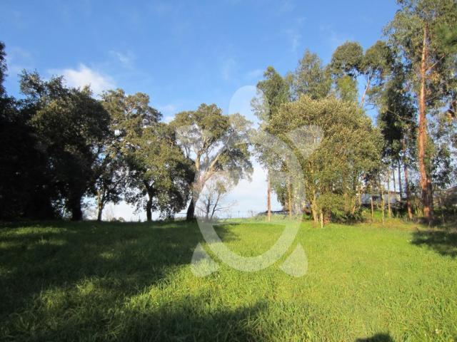Terreno com vista de rio em Vila Verde