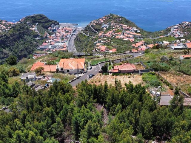 Terreno com Vista Desafogada e Excelente Exposição Solar na Ribeira Brava